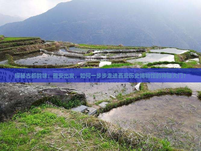 雅安到西安陕西历史博物馆攻略