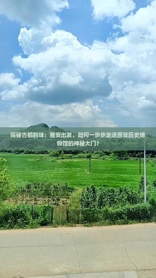 雅安到西安陕西历史博物馆攻略