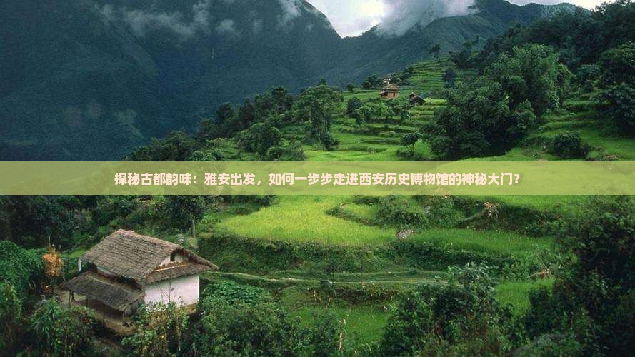 雅安到西安陕西历史博物馆攻略