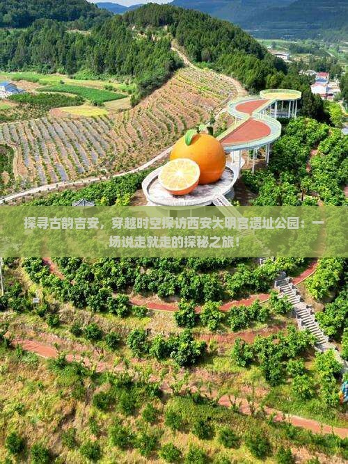吉安去西安大明宫国家遗址公园攻略