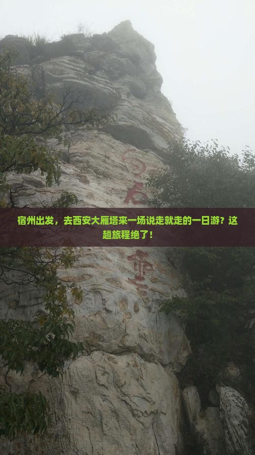 宿州去西安大雁塔一日游