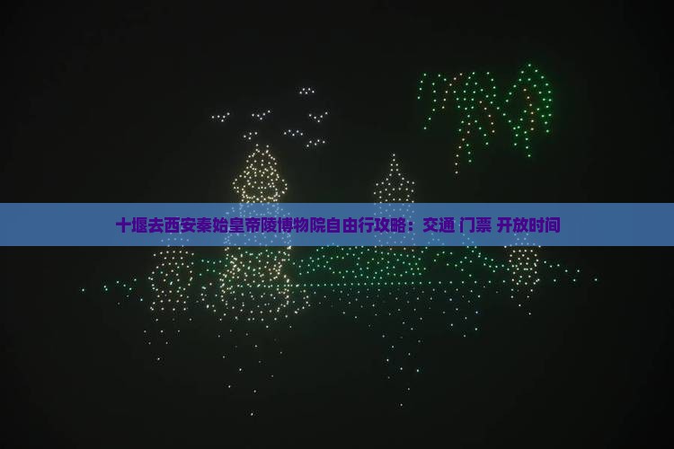 十堰去西安秦始皇帝陵博物院自由行