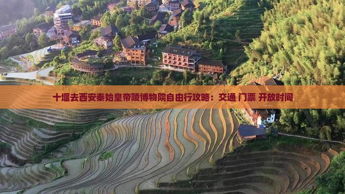 十堰去西安秦始皇帝陵博物院自由行