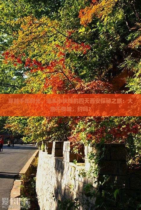 汕头去西安大唐不夜城四日游