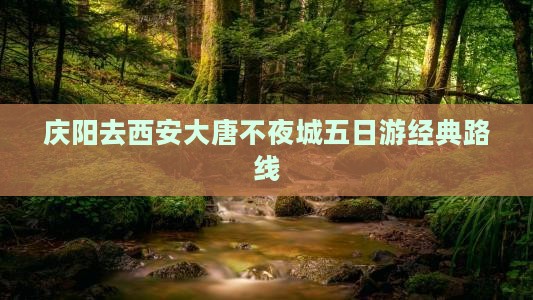 庆阳去西安大唐不夜城五日游