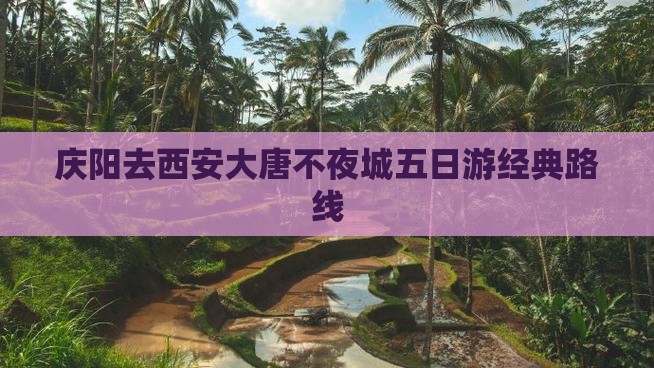 庆阳去西安大唐不夜城五日游