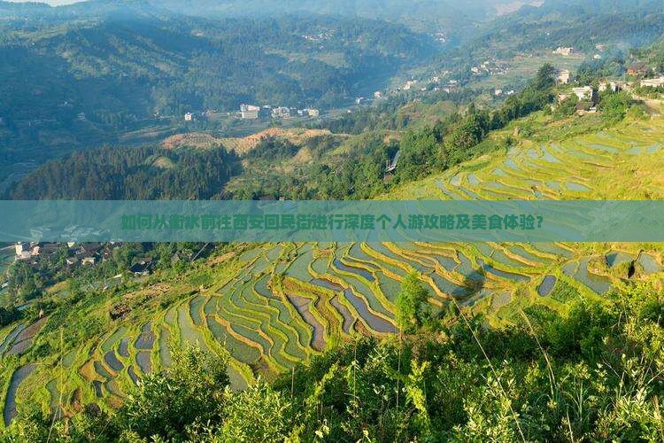 衡水去西安回民街个人游