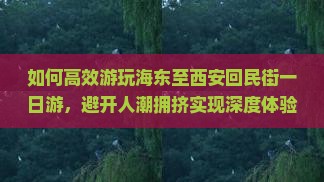 海东到西安回民街一日游