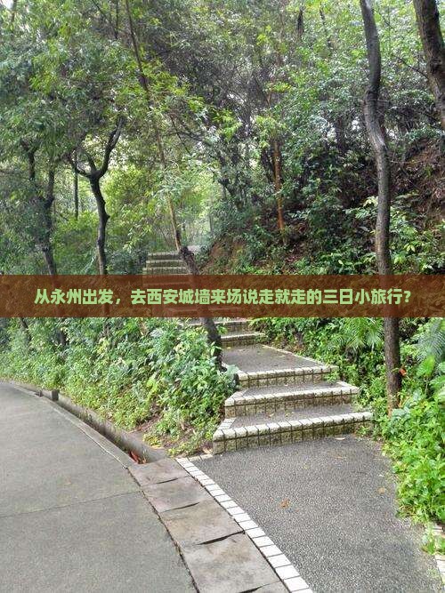 永州去西安城墙三日游