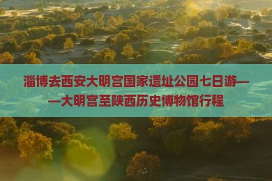 淄博去西安大明宫国家遗址公园七日游