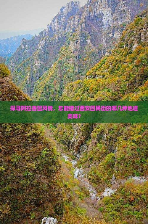 阿拉善盟去西安回民街必去地