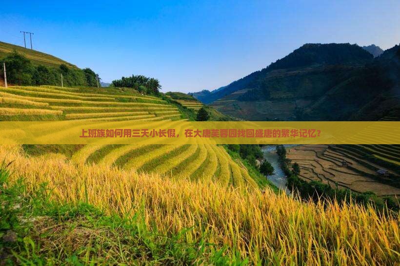 五月到西安大唐芙蓉园旅游