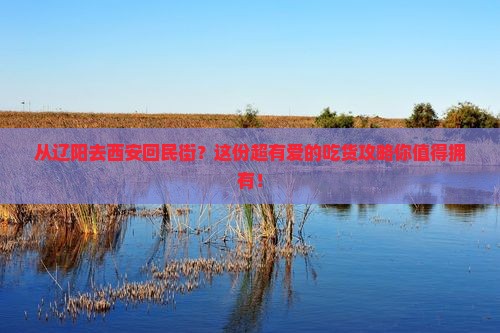辽阳到西安回民街攻略