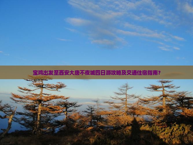 宝鸡去西安大唐不夜城四日游