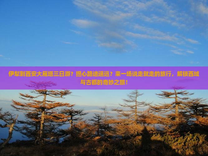 伊犁到西安大雁塔三日游