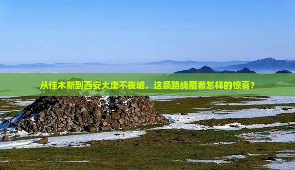 佳木斯去西安大唐不夜城必去地