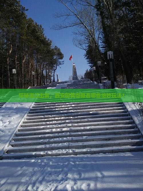 湛江去西安回民街哪里玩