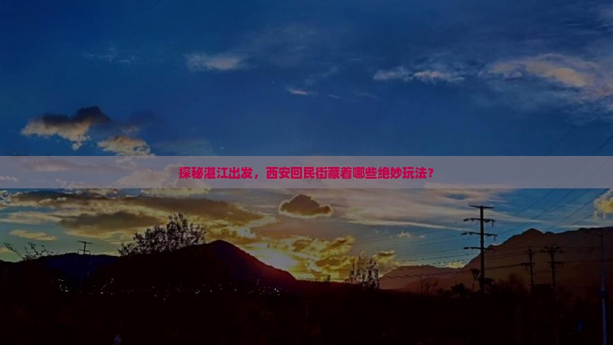 湛江去西安回民街哪里玩