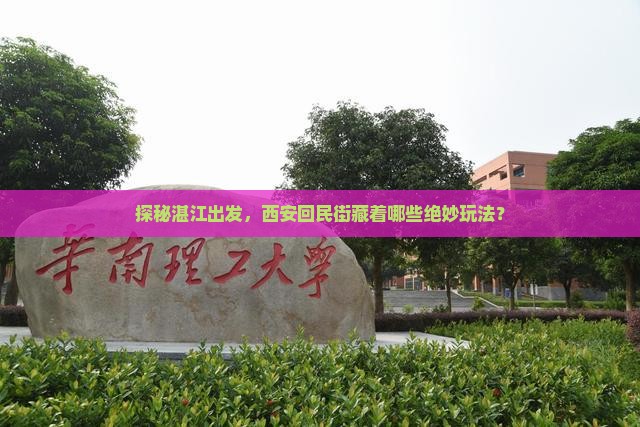 湛江去西安回民街哪里玩