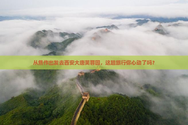 焦作到西安大唐芙蓉园景点