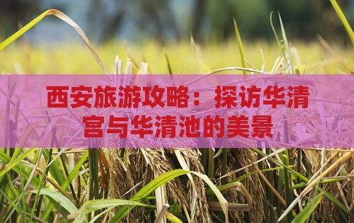 黔东南去西安华清宫景点