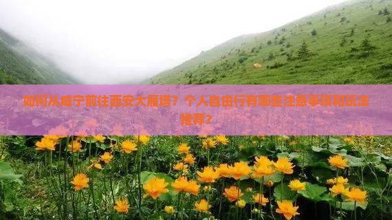 咸宁去西安大雁塔个人游