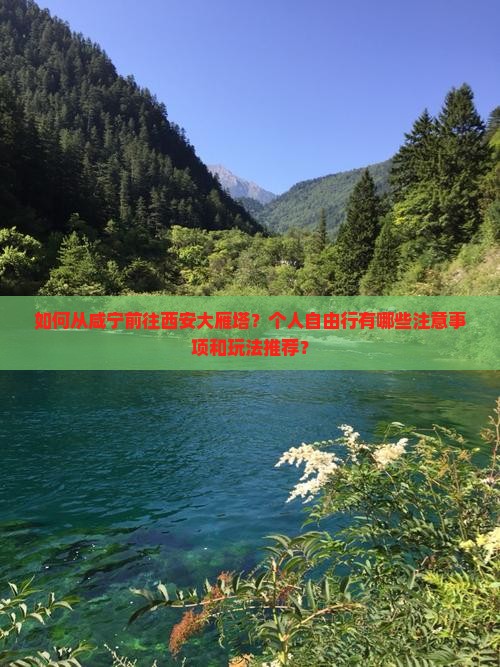 咸宁去西安大雁塔个人游