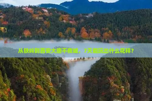 铁岭到西安大唐不夜城七日游