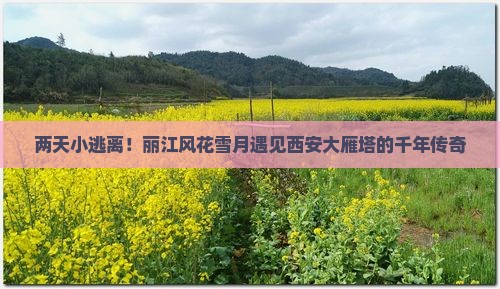 丽江去西安大雁塔二日游