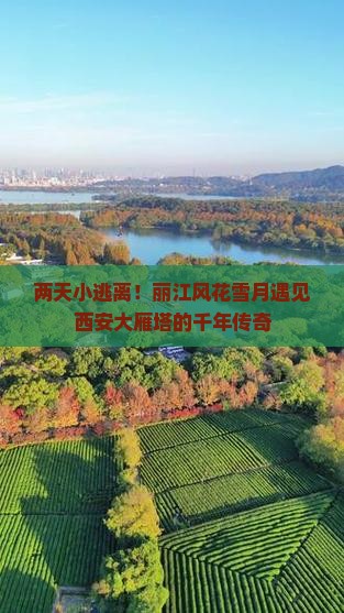 丽江去西安大雁塔二日游