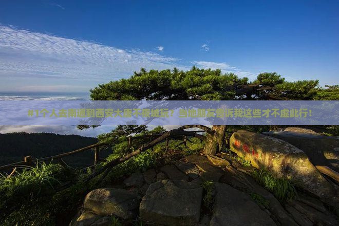 南通去西安大唐不夜城个人游