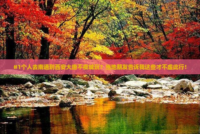 南通去西安大唐不夜城个人游