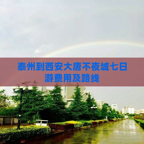 泰州到西安大唐不夜城七日游