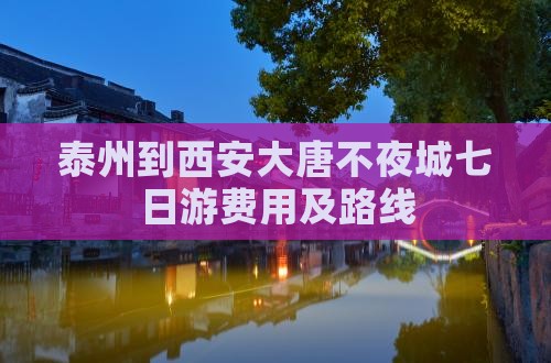 泰州到西安大唐不夜城七日游