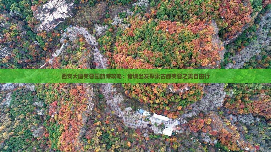 诸城到西安大唐芙蓉园自由行