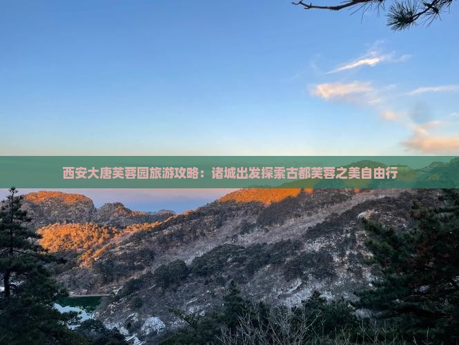 诸城到西安大唐芙蓉园自由行