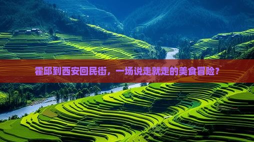 霍邱去西安回民街旅游