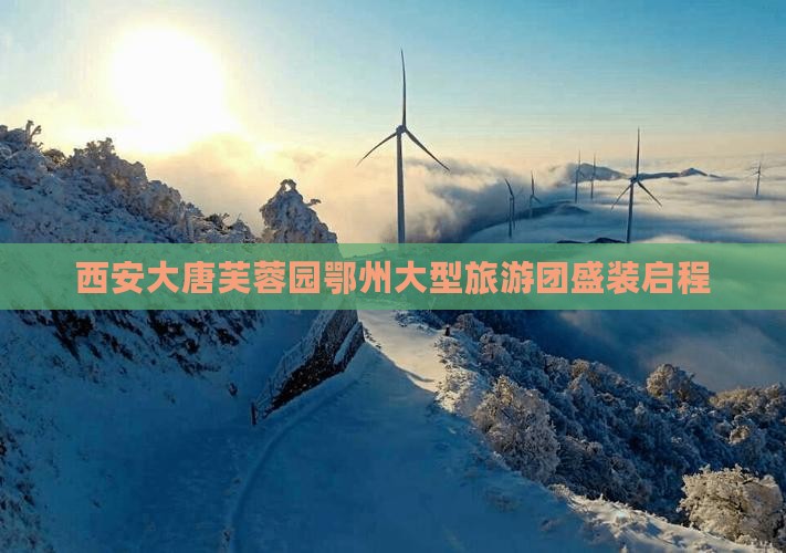鄂州到西安大唐芙蓉园大型旅游团