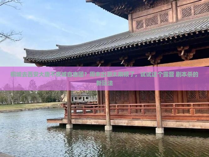 桐城去西安大唐不夜城自由团