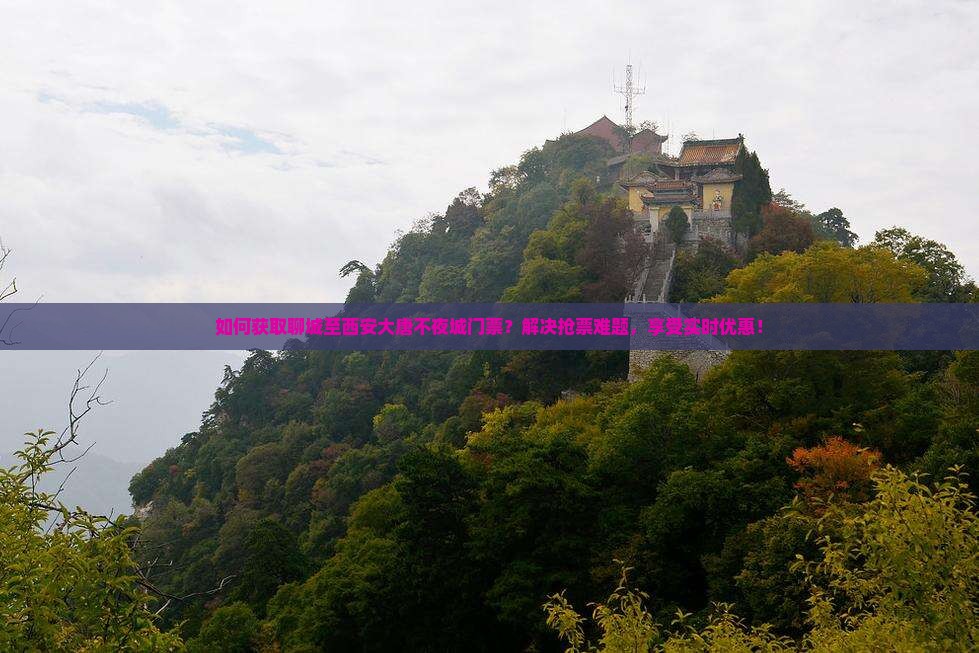 聊城去西安大唐不夜城门票