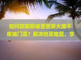 聊城去西安大唐不夜城门票