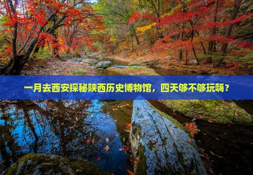 一月到西安陕西历史博物馆四日游
