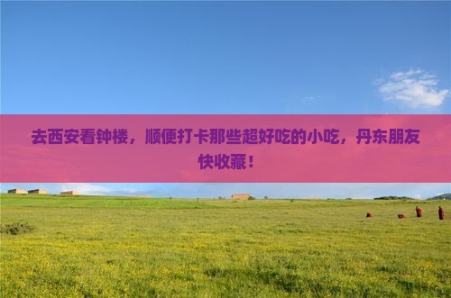 丹东去西安钟楼旅游小吃