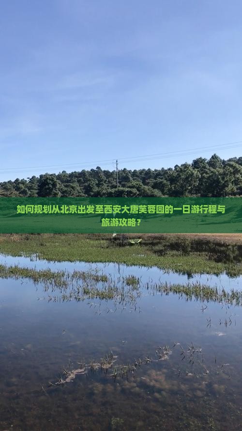 北京去西安大唐芙蓉园一日游