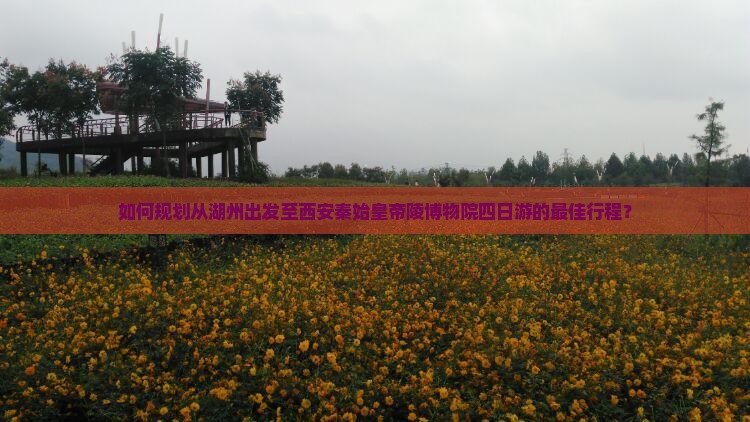 湖州去西安秦始皇帝陵博物院四日游