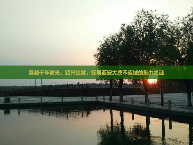 绍兴去西安大唐不夜城景点