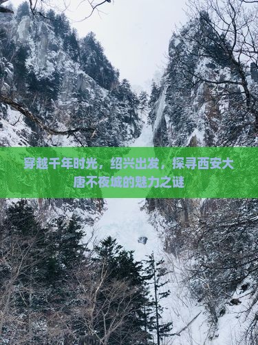 绍兴去西安大唐不夜城景点