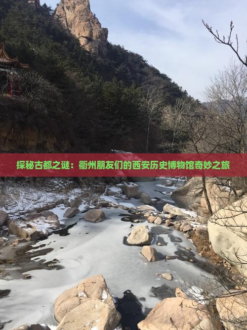 衢州到西安陕西历史博物馆团体旅游