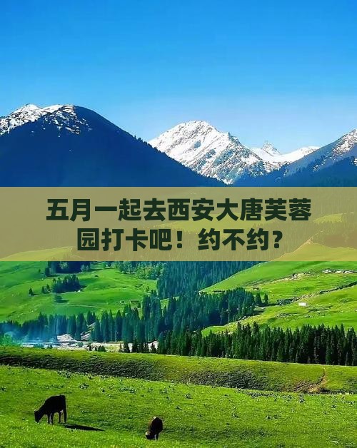 五月去西安大唐芙蓉园自由团