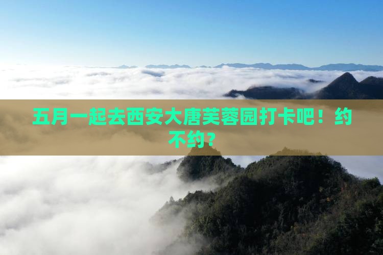 五月去西安大唐芙蓉园自由团
